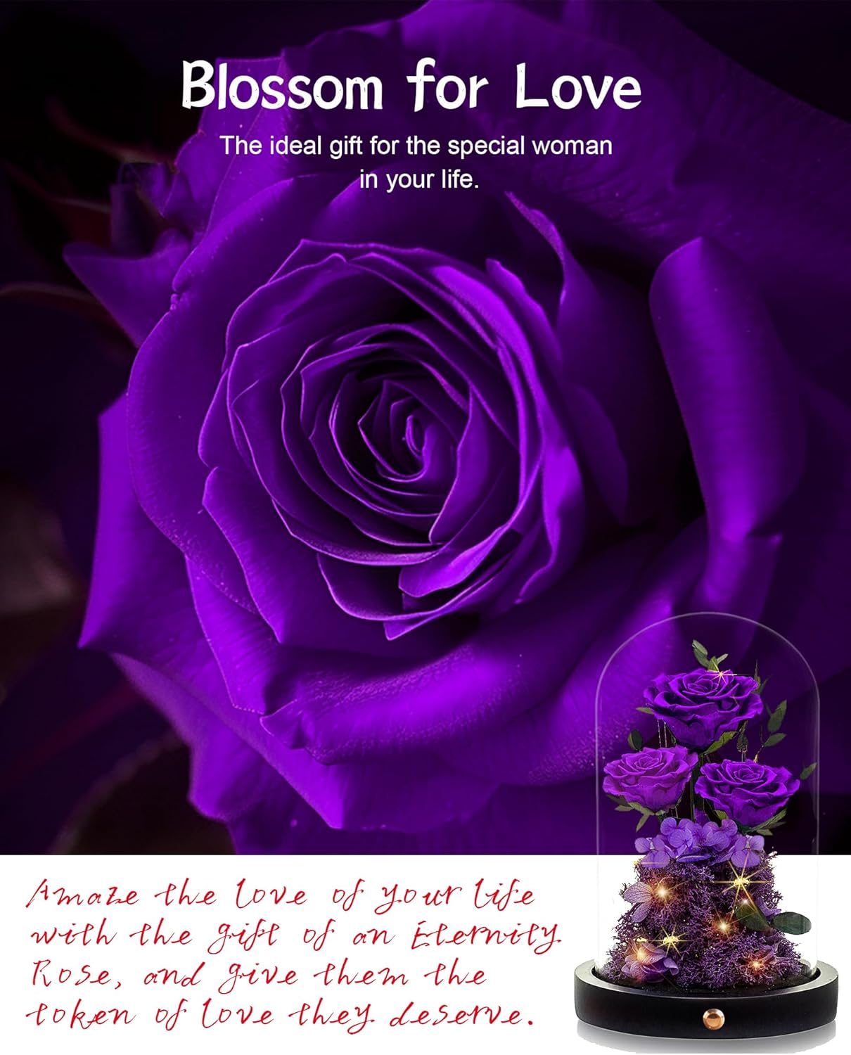 Preserved Roses in Glass Dome Forever Real Roses for Wife, Girlfriend