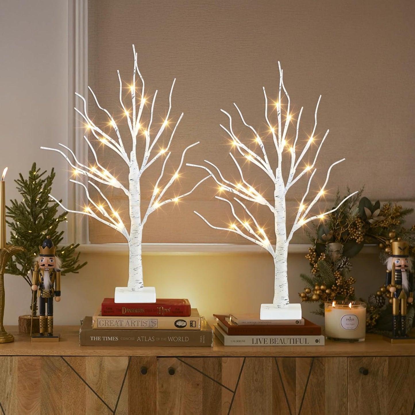 2-Pack 2FT LED Birch Trees with Timer for Indoor Christmas Decor