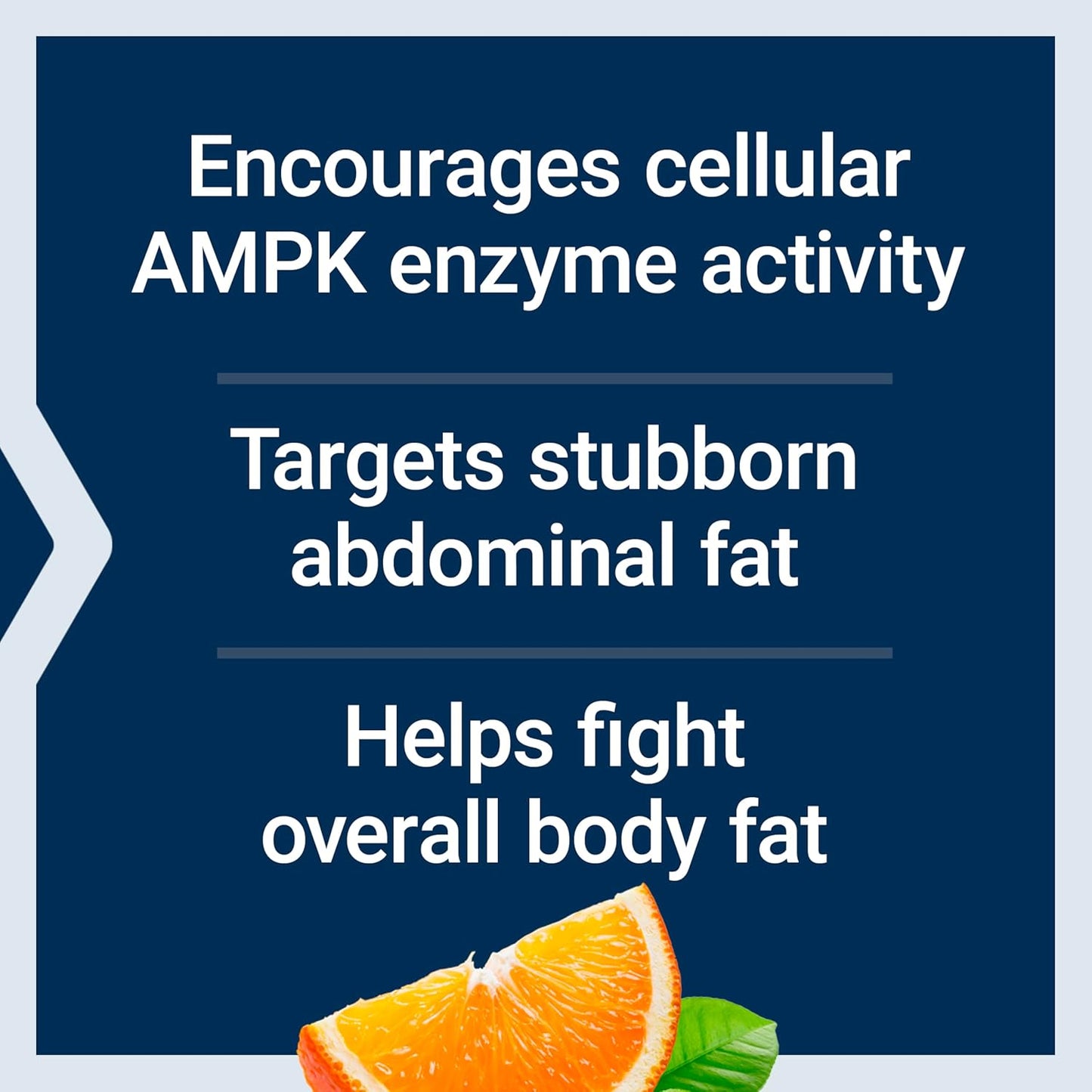 AMPK Metabolic Activator – Hesperidin & G. pentaphyllum, Daily Metabolism Support (30 Tablets)