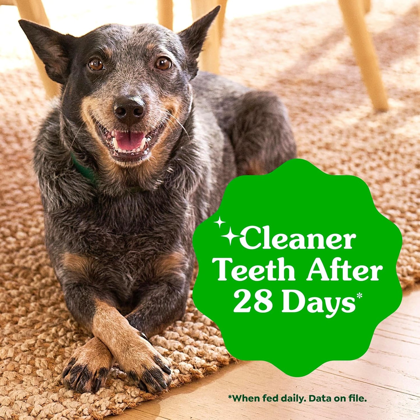 Veterinarian-Recommended Natural Dental Dog Treats β Original Flavor, Regular Size Dental Chews, 36 Count (36 oz)
