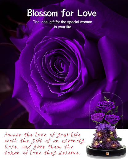 Preserved Roses in Glass Dome Forever Real Roses for Wife, Girlfriend