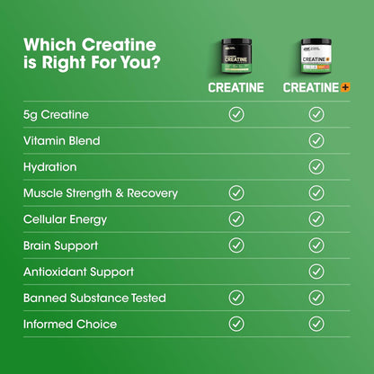 300-Count Optimum Nutrition Micronized Creatine Capsules: 2500mg, Keto-Friendly