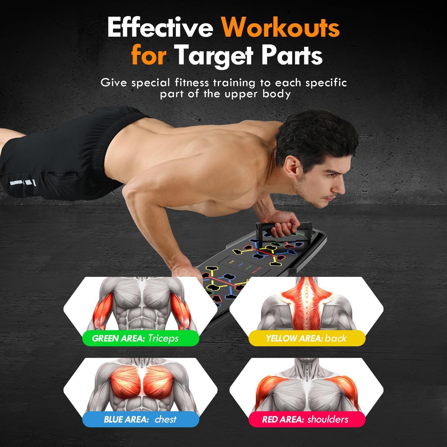 Push Up Board Home Gym Set – Portable Workout System with Pilates Bar, Resistance Bands & Ab Roller for Full-Body Training