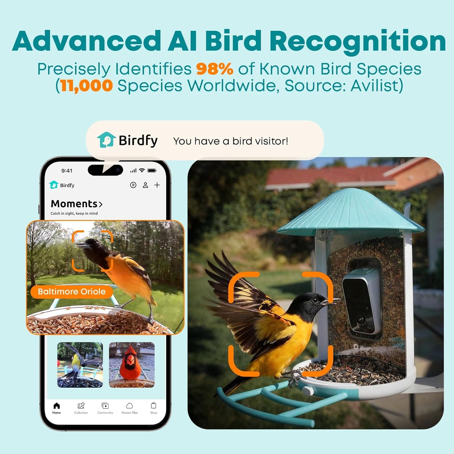 Smart Bird Feeder with 2K AI Camera – Auto Video Capture & Live Stream (Subscription Required)