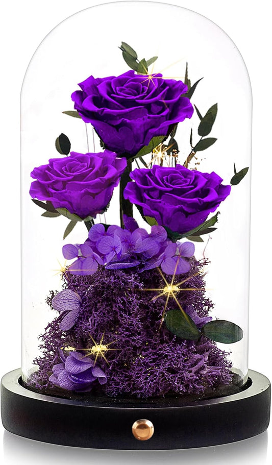 Preserved Roses in Glass Dome Forever Real Roses for Wife, Girlfriend