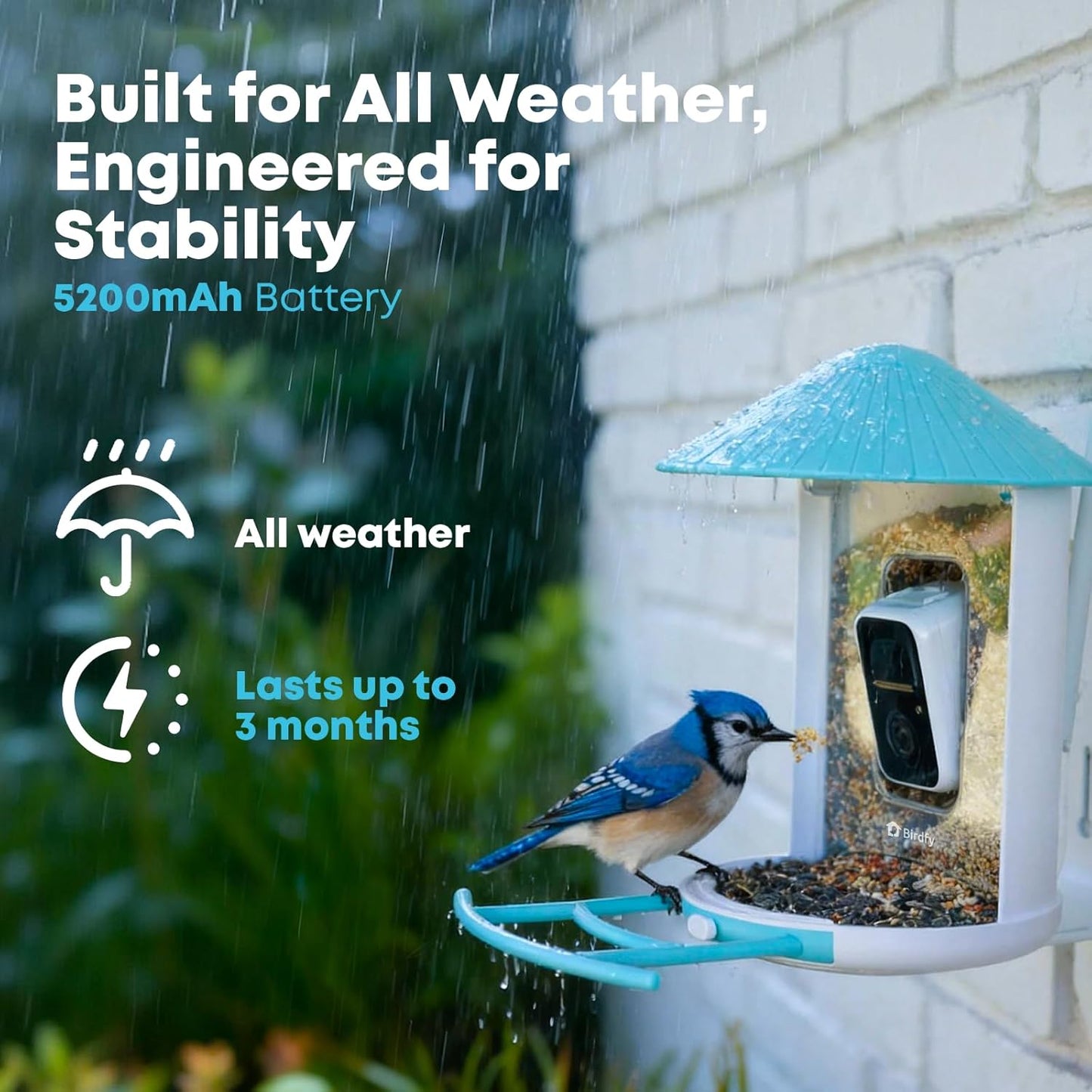 Smart Bird Feeder with 2K AI Camera – Auto Video Capture & Live Stream (Subscription Required)