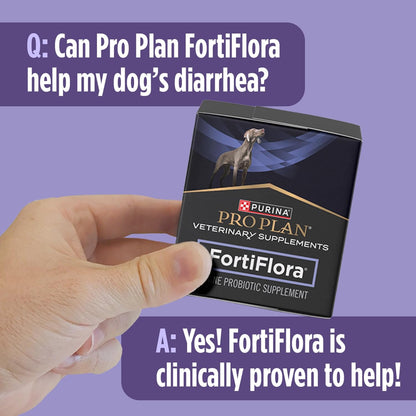 FortiFlora Probiotic Powder for Dogs – Daily Digestive & Immune Health Support