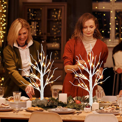 2-Pack 2FT LED Birch Trees with Timer for Indoor Christmas Decor