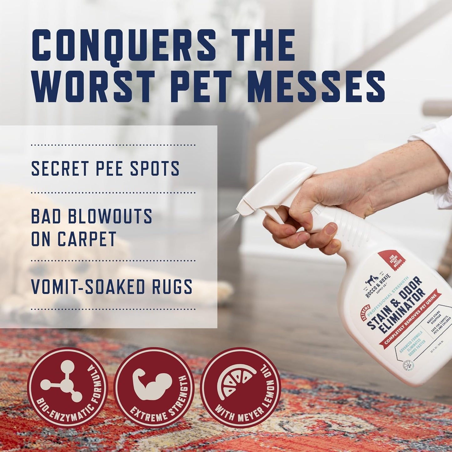 Extreme Pet Stain & Odor Eliminator – Enzyme Cleaner Spray for Dog & Cat Urine, Carpet & Home Cleaning