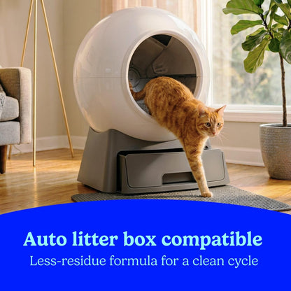 Advanced Odor Shield Lightweight Clumping Cat Litter – Gain Scent with Febreze & Ammonia Block, 18.5 lb (2 Pack)