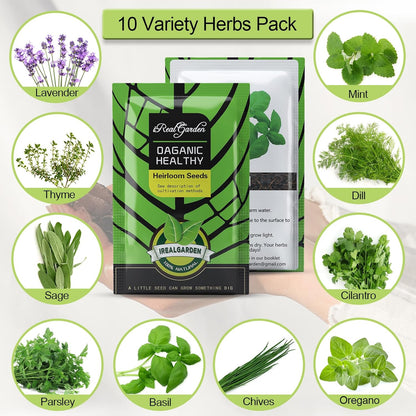Indoor Herb Garden Kit – 10 Non-GMO Seeds with Pots, Soil & Moisture Meter
