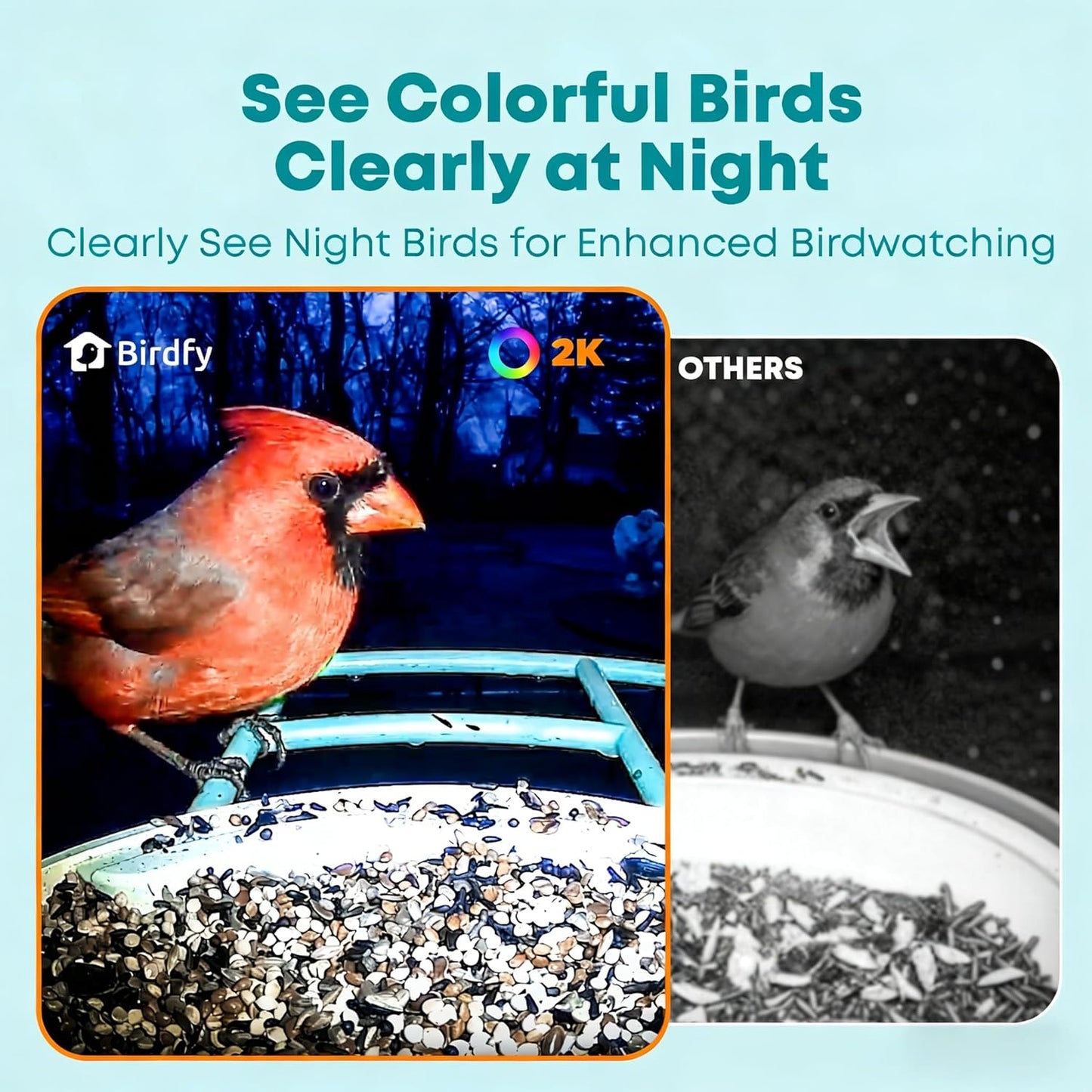 Smart Bird Feeder with 2K AI Camera – Auto Video Capture & Live Stream (Subscription Required)