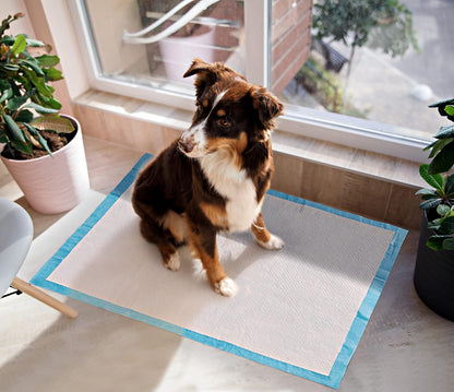 Pet Training Pads – 22" x 22" Super Absorbent & Leak-Proof Puppy Pee Pads (100 Count)