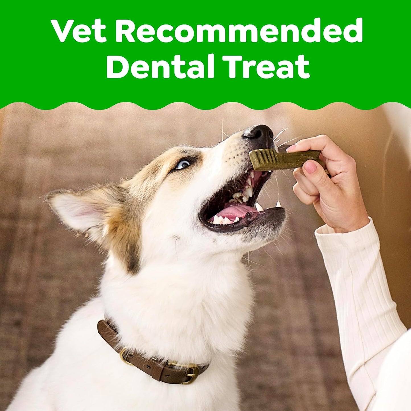 Veterinarian-Recommended Natural Dental Dog Treats – Original Flavor, Regular Size Dental Chews, 36 Count (36 oz)