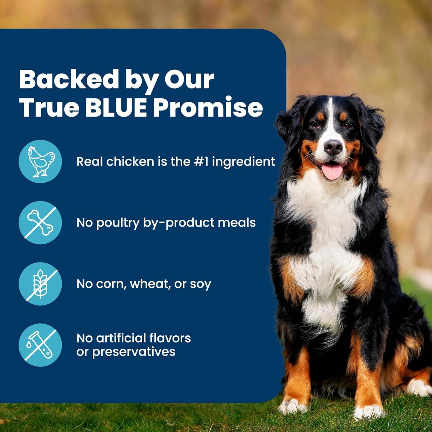 Life Protection Formula Adult Dry Dog Food – Chicken & Brown Rice Recipe, 5 lb Bag
