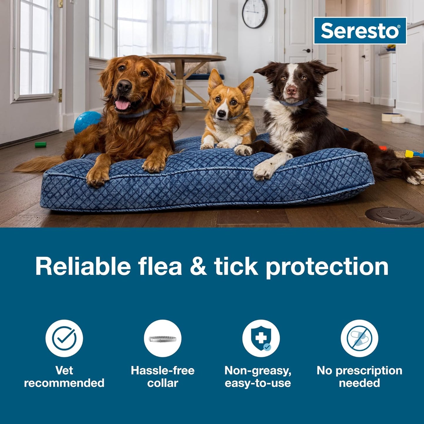 Flea & Tick Collar for Dogs Over 18 lbs – 8-Month Treatment & Prevention Protection
