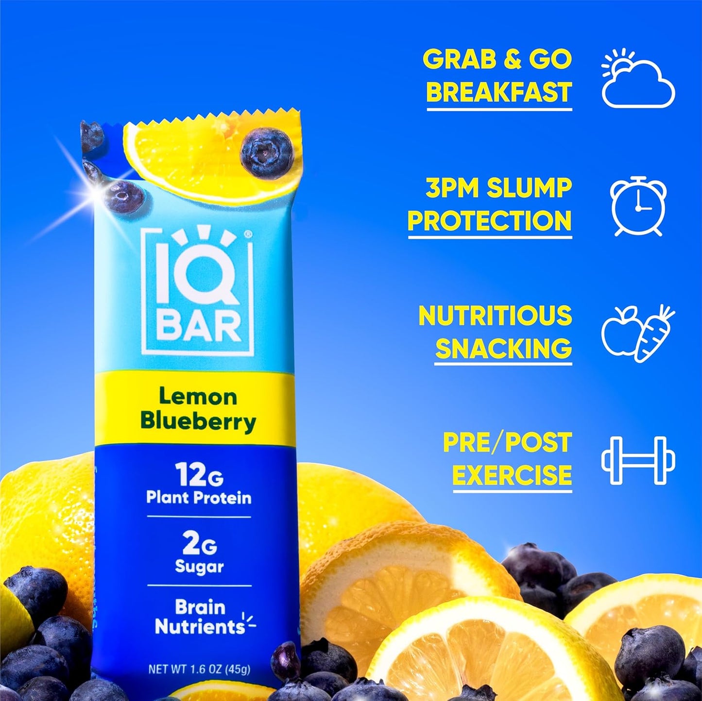 Lemon Blueberry Plant Protein Bars – Keto-Friendly, Vegan, High Protein, High Fiber, Low Sugar, Lion's Mane & MCTs, Gluten & Dairy Free, 24 Count
