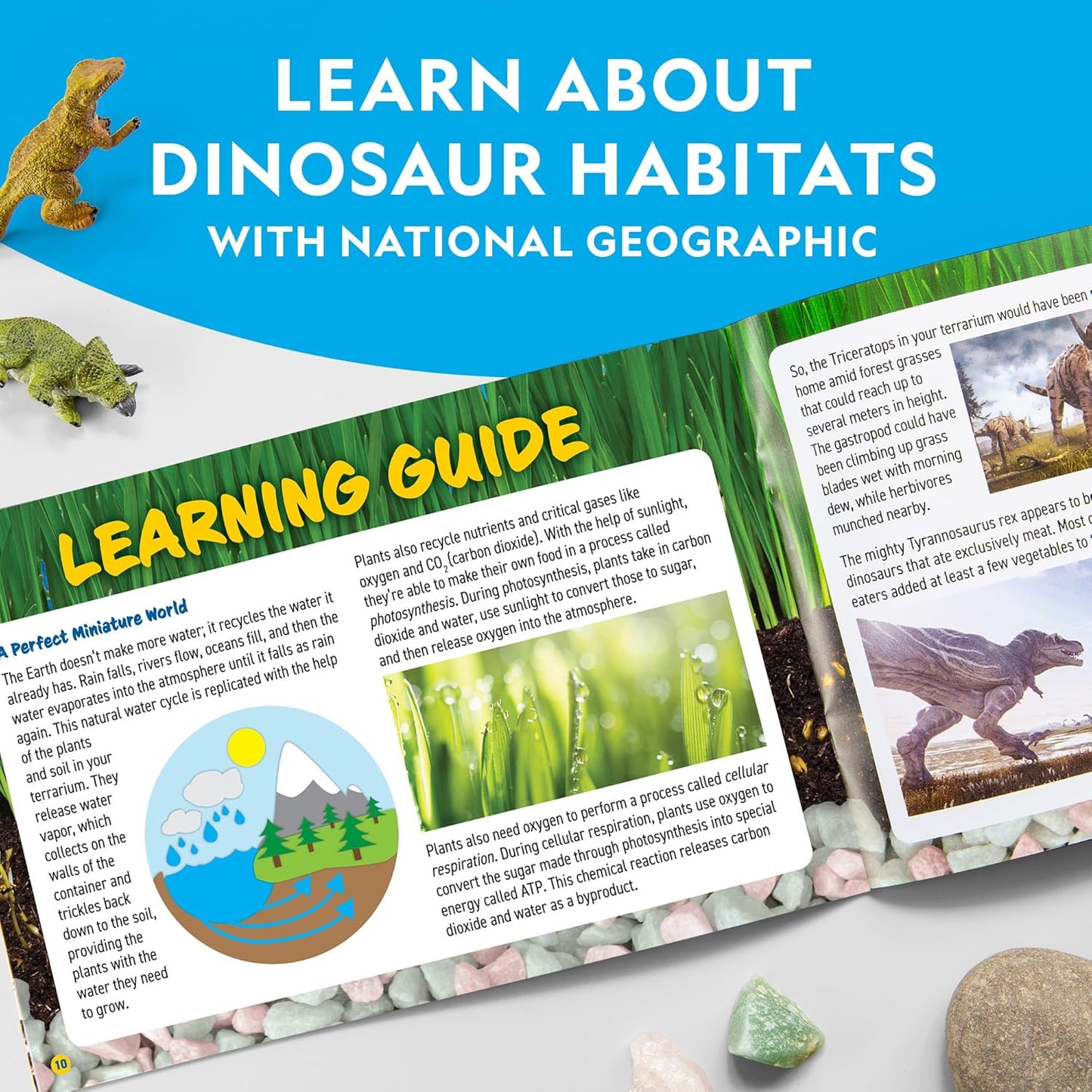 Light-Up Dinosaur Terrarium Kit for Kids with Real Plants & Gemstones