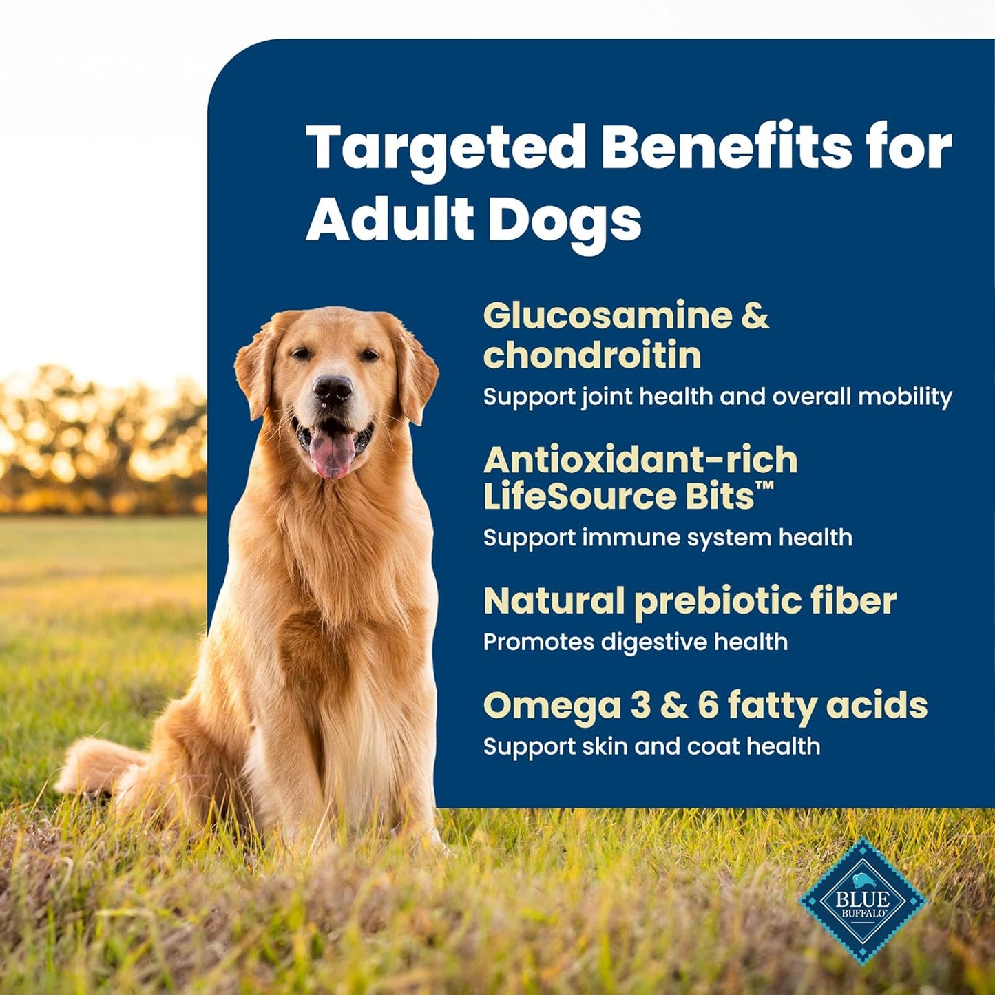 Life Protection Formula Adult Dry Dog Food – Chicken & Brown Rice Recipe, 5 lb Bag