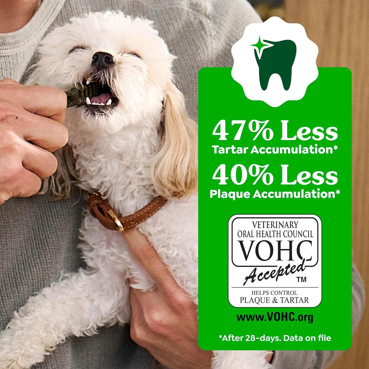 Veterinarian-Recommended Natural Dental Dog Treats – Original Flavor, Regular Size Dental Chews, 36 Count (36 oz)
