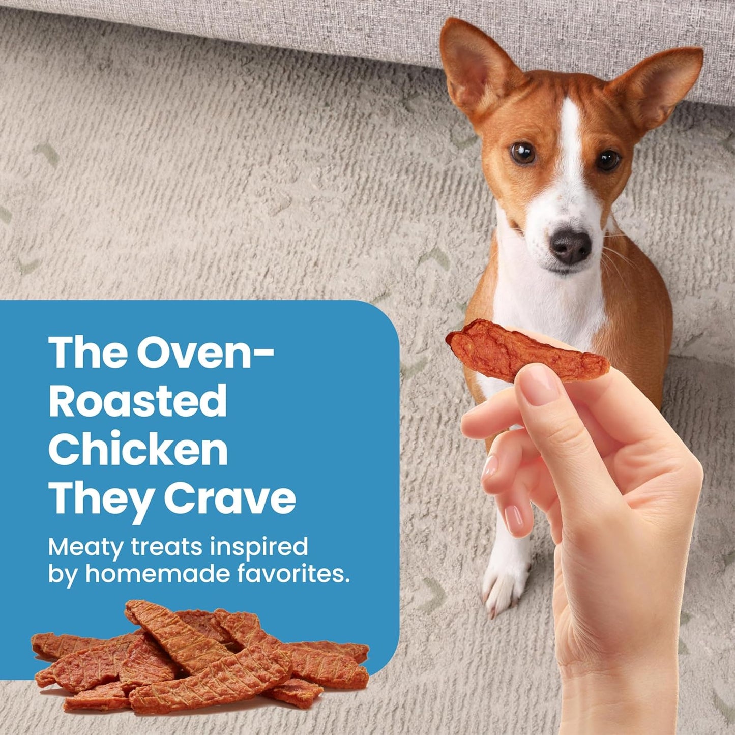 Nudges Chicken Jerky Bites Dog Treats – Natural Training Treats Made with Real Chicken, 16 oz