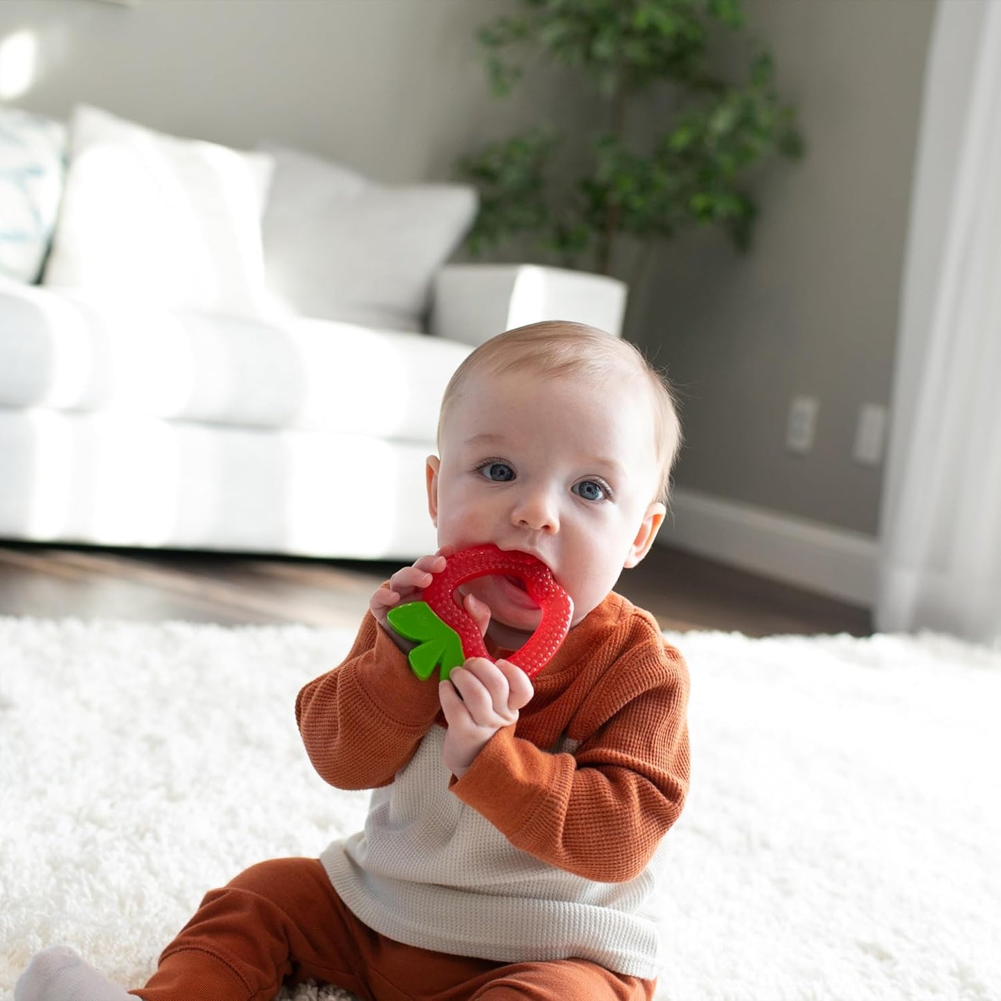 Cooling Baby Teether Toys – BPA-Free Fruit Teethers for Sore Gums (Apple & Pineapple, 2-Pack, 3m+)