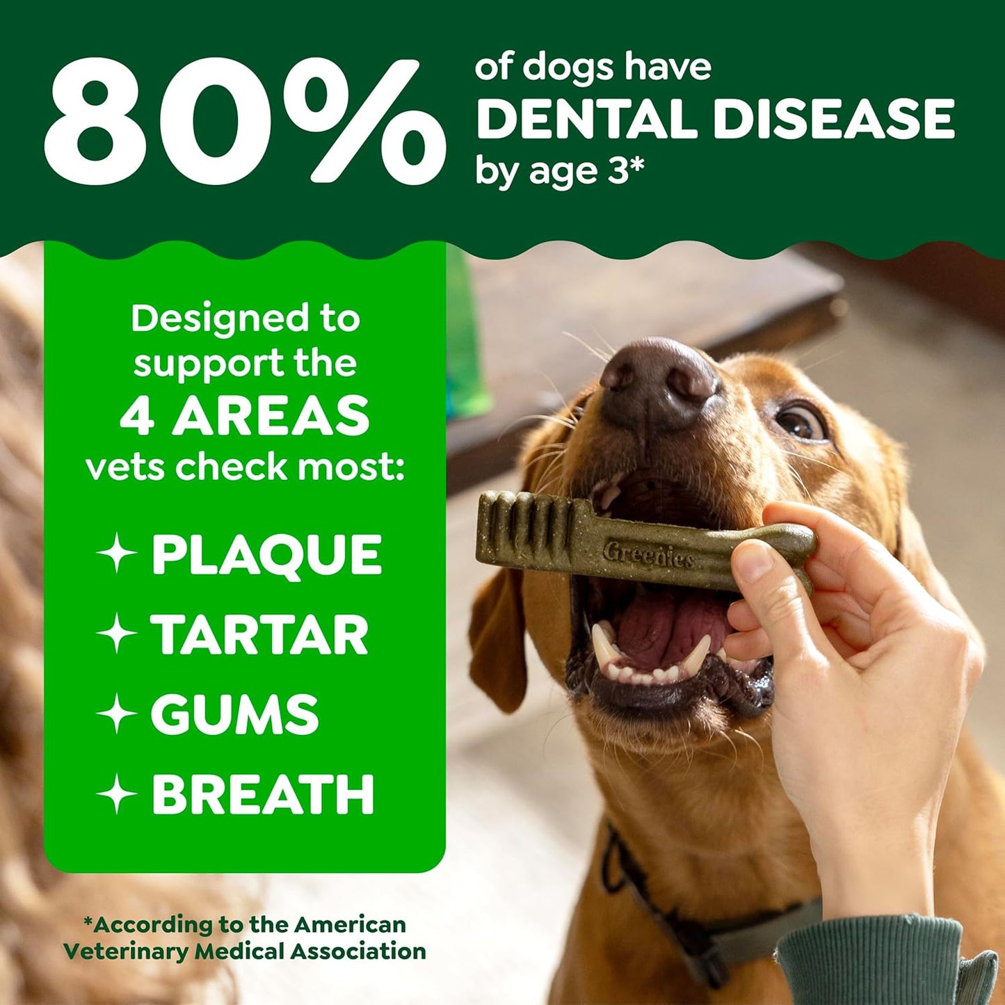 Veterinarian-Recommended Natural Dental Dog Treats – Original Flavor, Regular Size Dental Chews, 36 Count (36 oz)