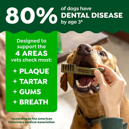 Veterinarian-Recommended Natural Dental Dog Treats – Original Flavor, Regular Size Dental Chews, 36 Count (36 oz)