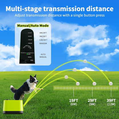 Automatic Pet Ball Launcher – Indoor & Outdoor Dog Toy with 4 Chew-Resistant Balls for Interactive Play