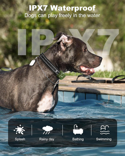 3300FT Dog Shock Collar with Remote Innovative IPX7 Waterproof, Rechargeable E-Collar for All Breeds