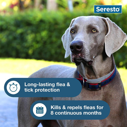 Flea & Tick Collar for Dogs Over 18 lbs – 8-Month Treatment & Prevention Protection