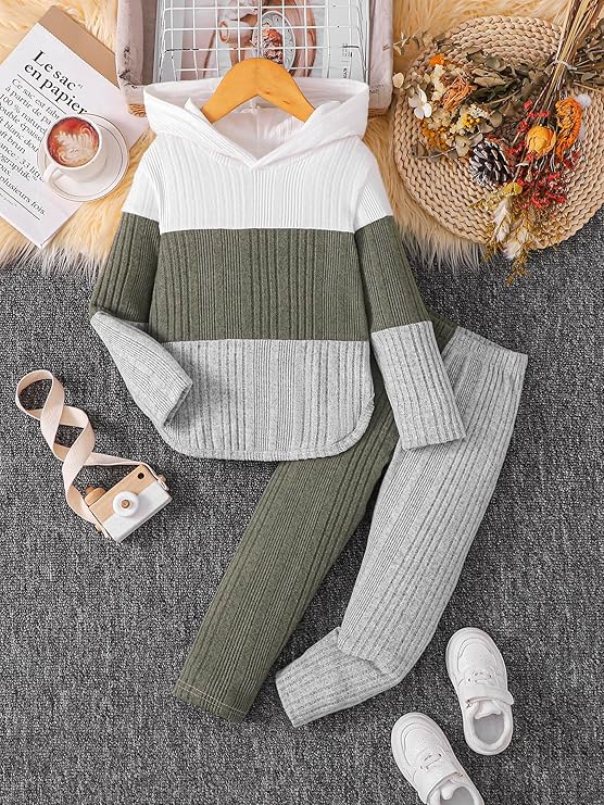 Girls’ Fall/Winter 2-Piece Outfit – Hoodie Sweatshirt & Pants/Leggings Set (Size 4–5T)