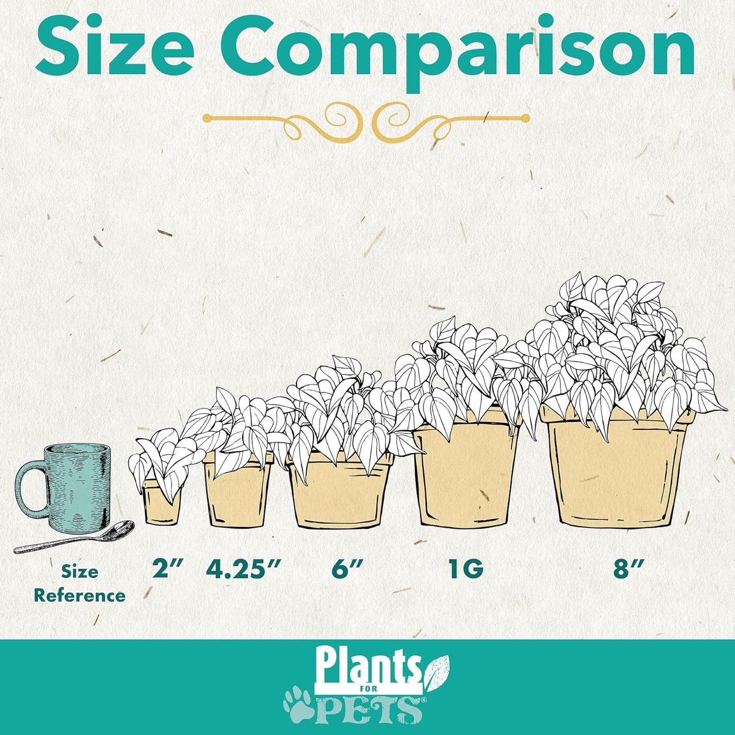 Easy-to-Grow Live Houseplants (6 Pack) – Grower’s Choice Plants in Containers with Potting Soil Mix – Indoor Home Décor or Outdoor Garden Gift Set